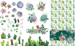 Cacti Succulents transfer Paper